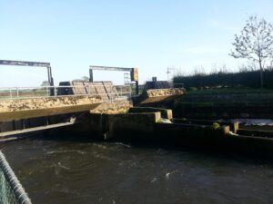 Anchor Sluice open for the winter